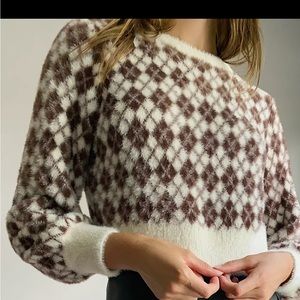 Aritzia Sunday best kitten sweater